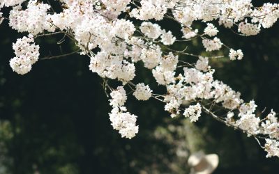 Actualités avril 2026